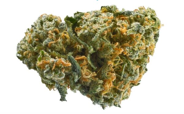 AK-47 Strain