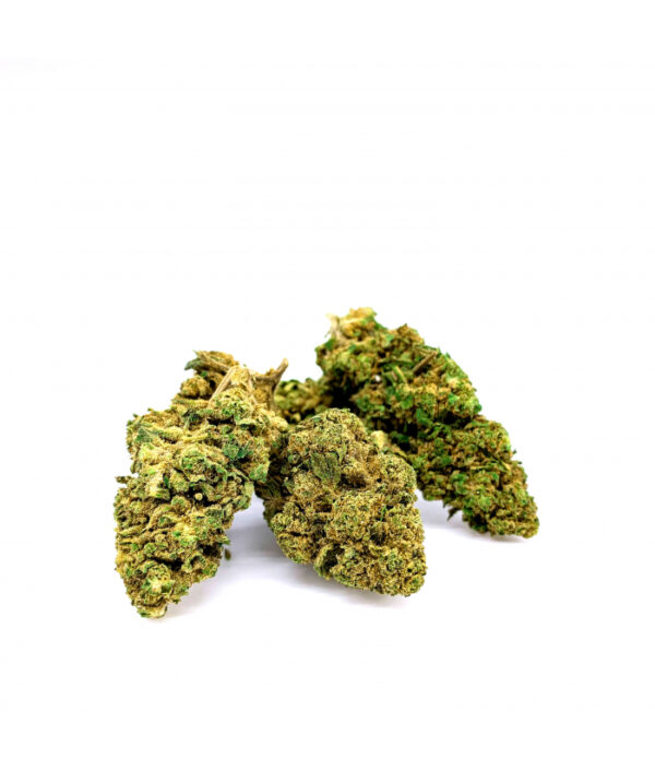 Gorilla Glue